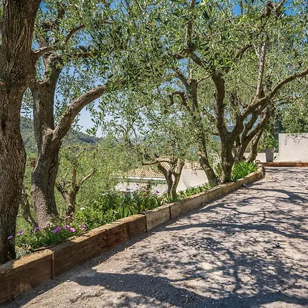 Villa des Oliviers Nizza Esterno foto