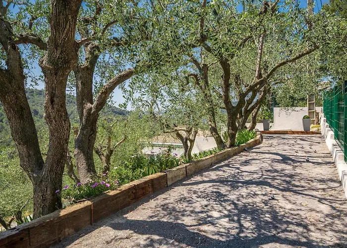 Villa Des Oliviers